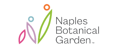 logos partnersMesa de trabajo 6 copia 4latinos239-